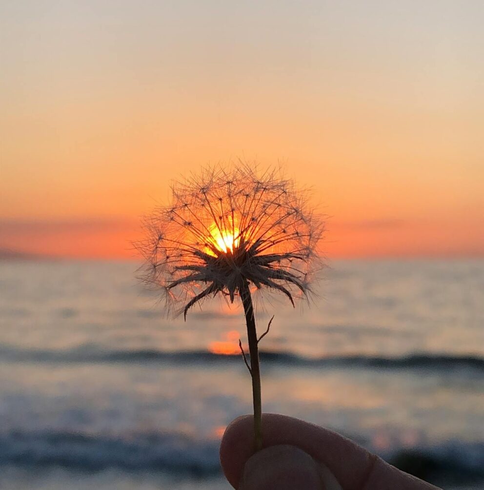 Wonderful